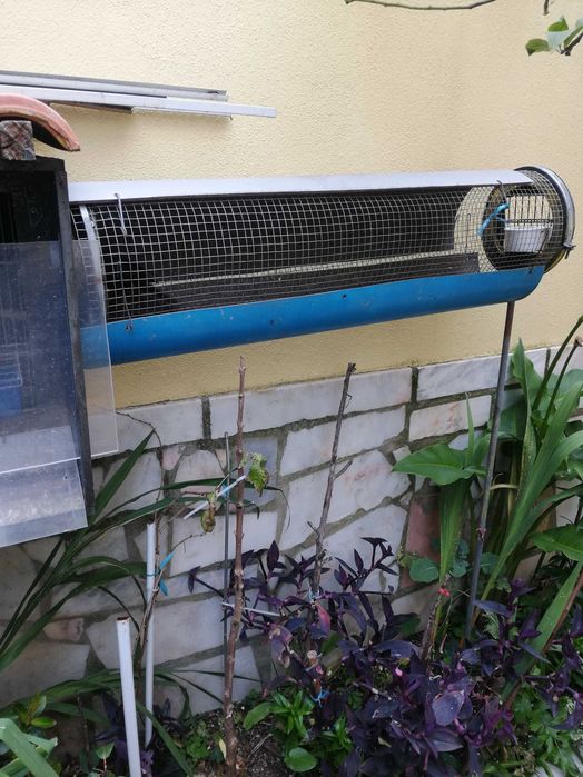 Rolas comuns especiais