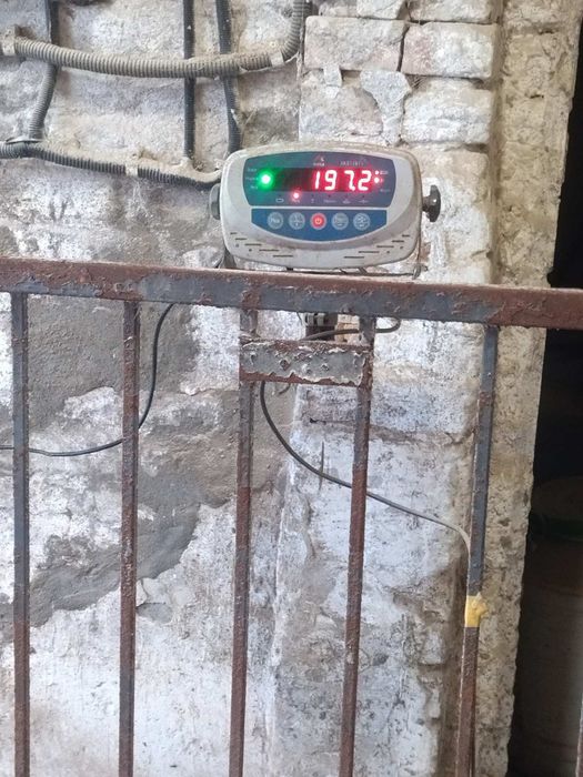 Соєва макуха, соєвий жмих, соєвий шрот (соєва олія)