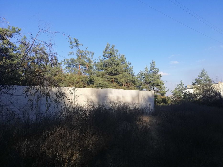 Участок, Леса ,Куриловка  Возле моста .Левый берег.