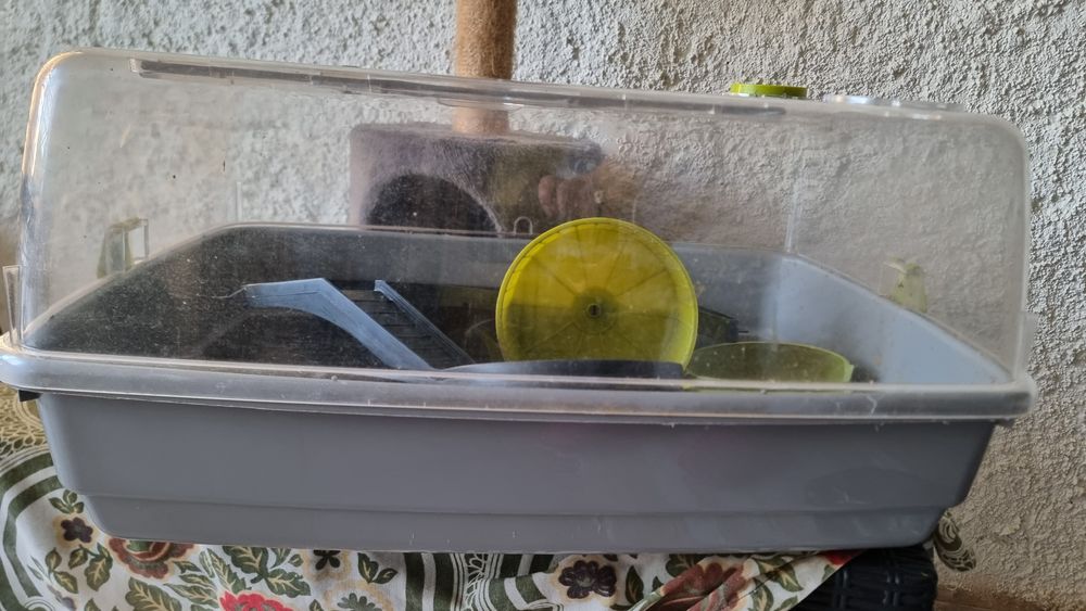Gaiola para hamsters 50×30×30