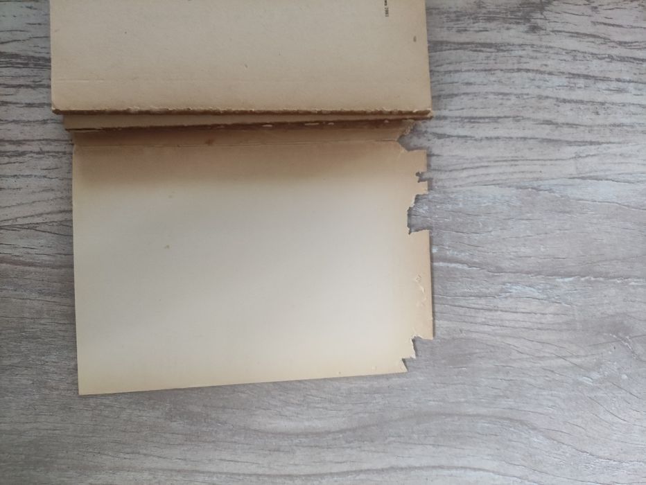 "Dzień noc i pora niczyja" Ewa Nowacka