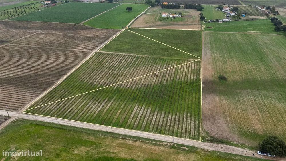 Sto. Isidro de Pegões, Palmela – Rustic Building with 3 ha of Vineyard