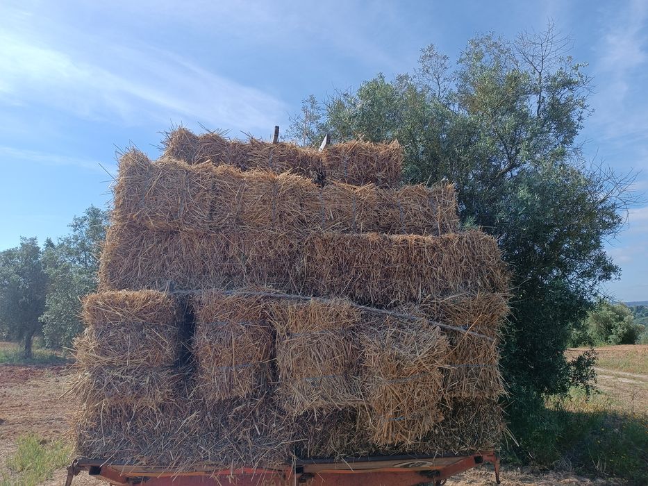 Venda de fardos pequenos