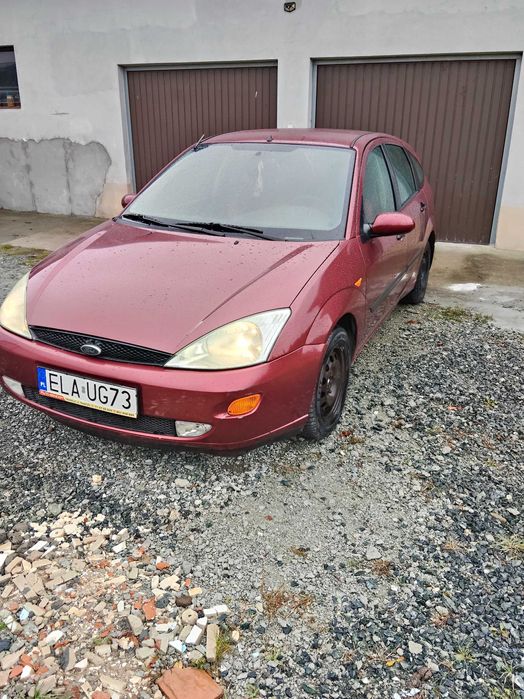 Tania Foczka na dojazdy do pracy