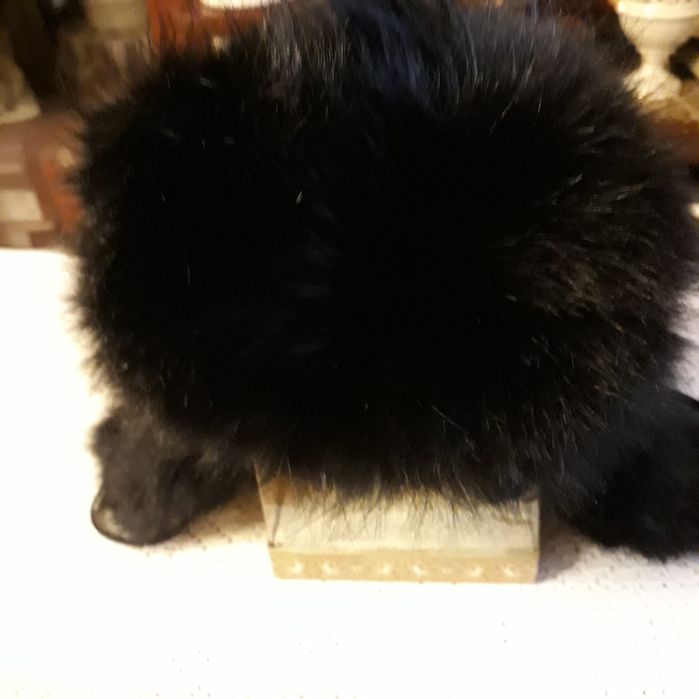 Nowa czapka z królika