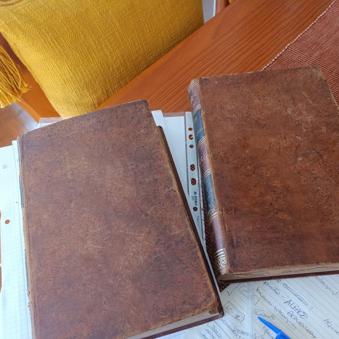Diccionario Contemporaneo -  2 volumes