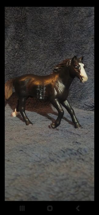 Schleich collecta custom konie