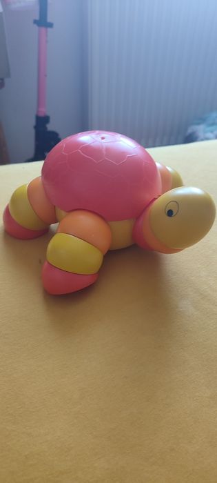 Żółw do składania 2+