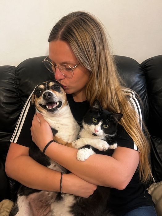 Pet Sitter & Dog Walker – Dogs and Cats