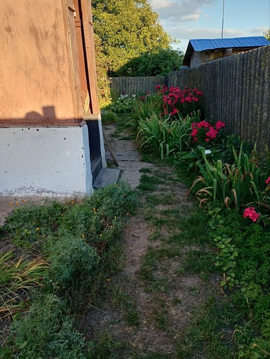 Будинок в м.Буринь на Шиловці НЕ оренда чистий продаж!