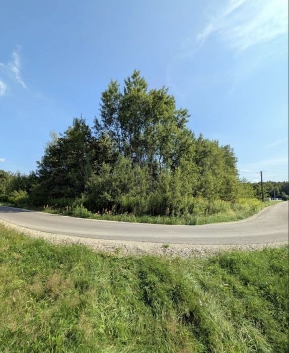 Sprzedam dzialke Zasów