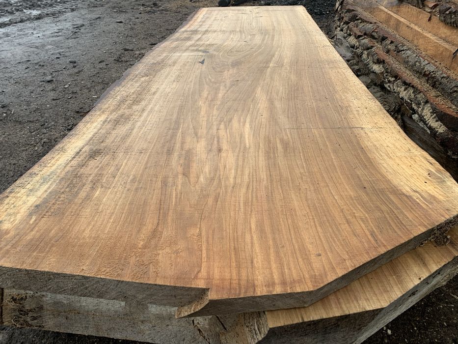 Szerokie monolity blaty brusy topolowe 120cm deski drewniane topola