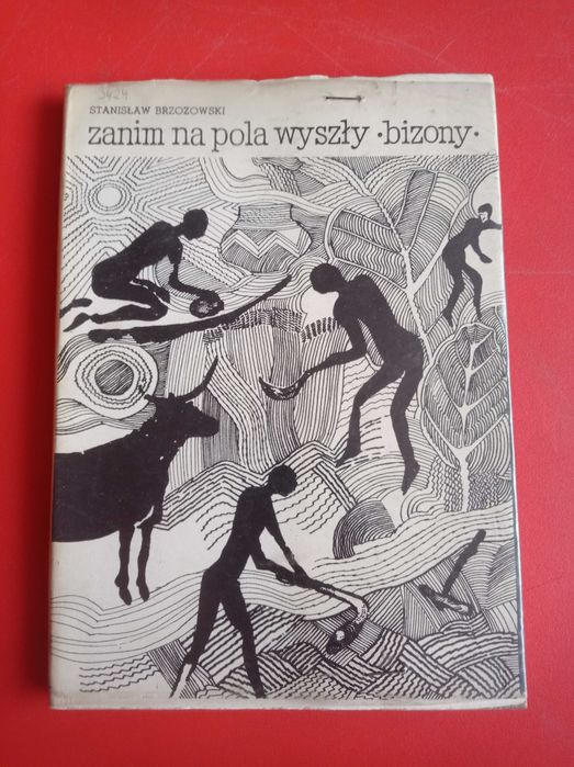 Zanim na polu wyszły bizony, Stanisław Brzozowski