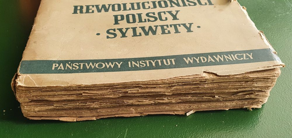 Książka Wiosna Ludów