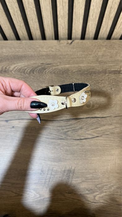 Ошийник світлий мʼякий всередині