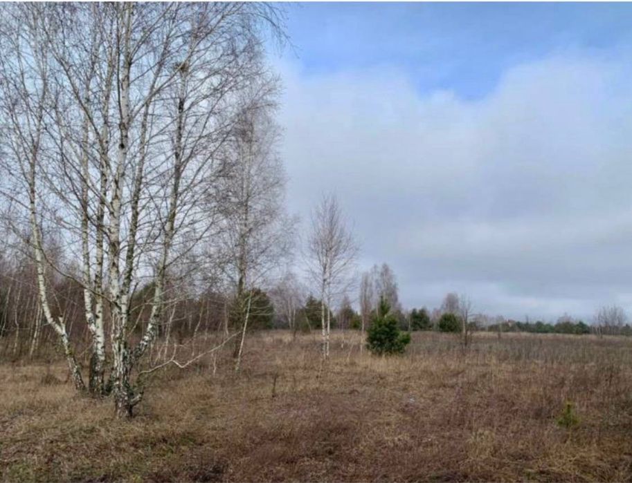 Продам земельний масив 78 Га. Фасівочка