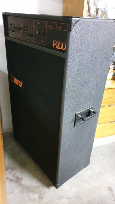 Acordeão Farfisa Syntaccordion + amp + coluna