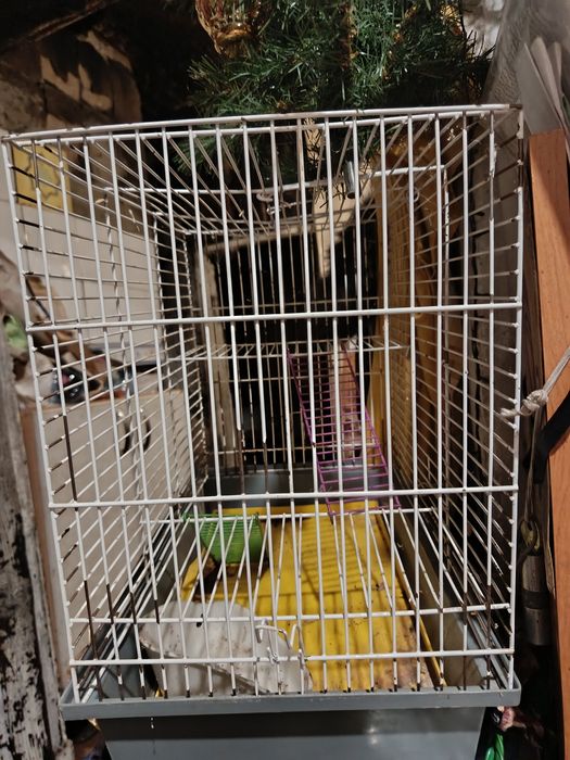Продаємо клітку для папуги, хом'яків.