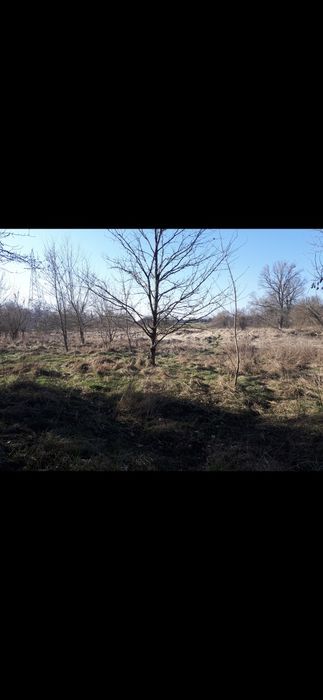 Działka rolna z lasem nad rzeką Bzurą, Sochaczew,  mazowieckie