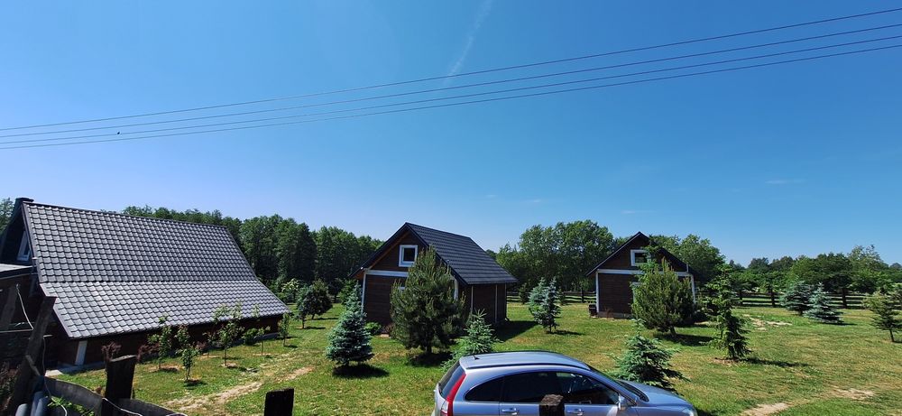 Majówka 2026  domki pod wynajem okolice Nałęczowa