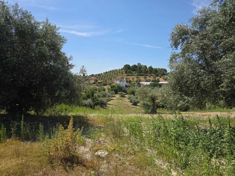Terreno com casa para recuperar