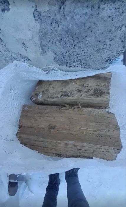 Дуб сухий в мішках)