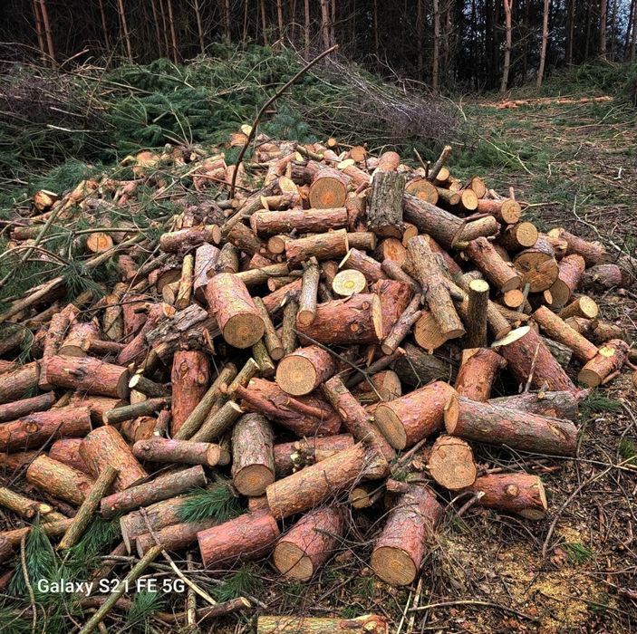 Drewno opałowe kominkowe