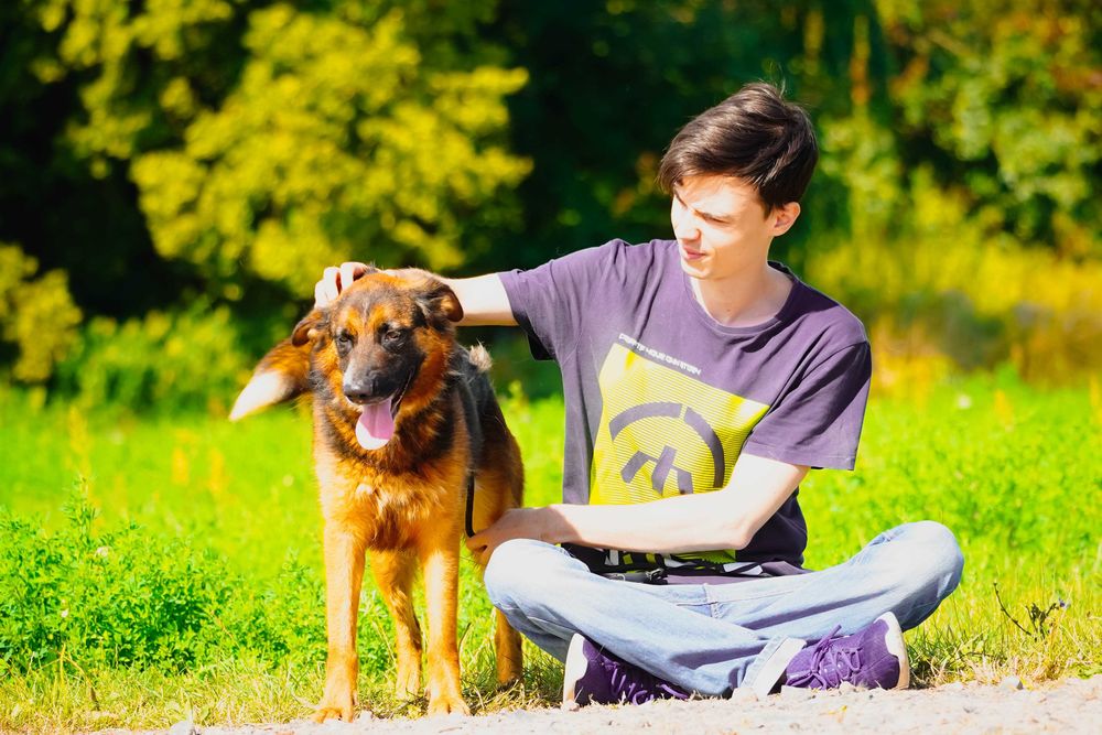 Bośnia - przepiękna sunia czeka na dom