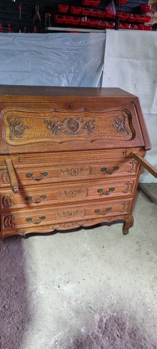 Skretarzyk Ludwikowski