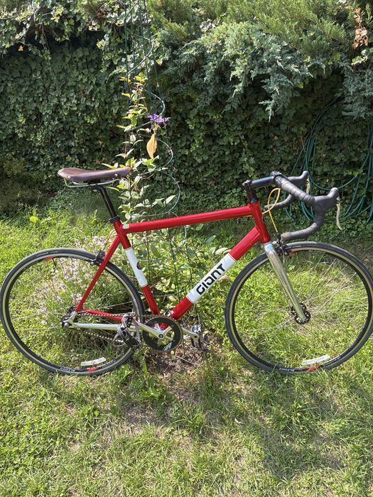 Giant Ostre Koło/Single Speed