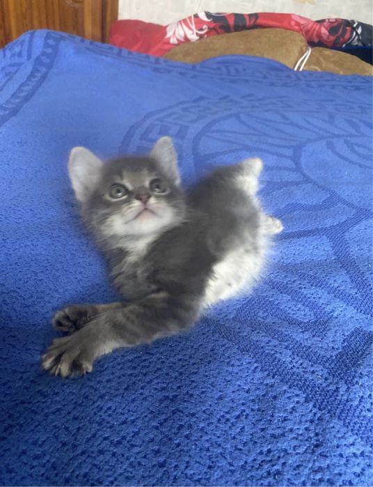 Такой красивый мальчик