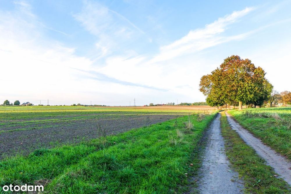 Działka z potencjałem – Sławno | Bobrowiczki