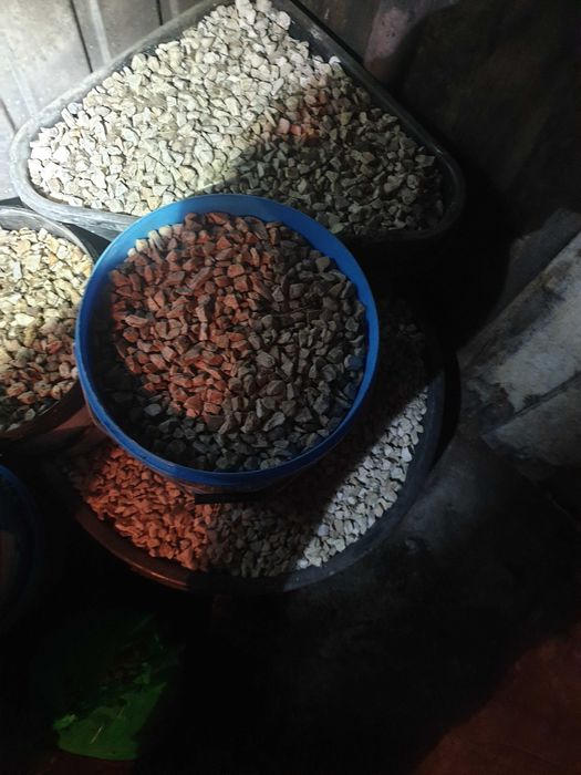 Ogrodowy Grys biała MARIANNA