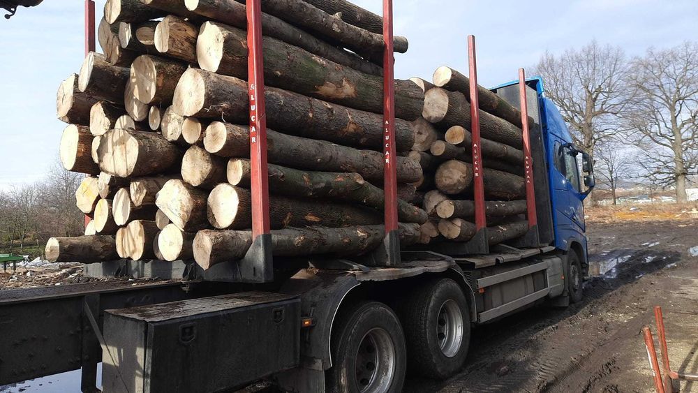 buk, jesion,dąb - kłody, dostawa