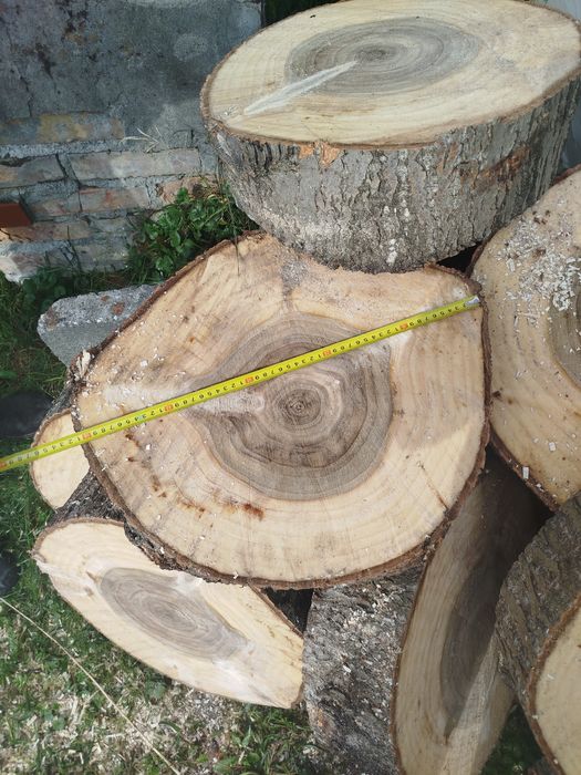 Plastry topola idealne na stolik