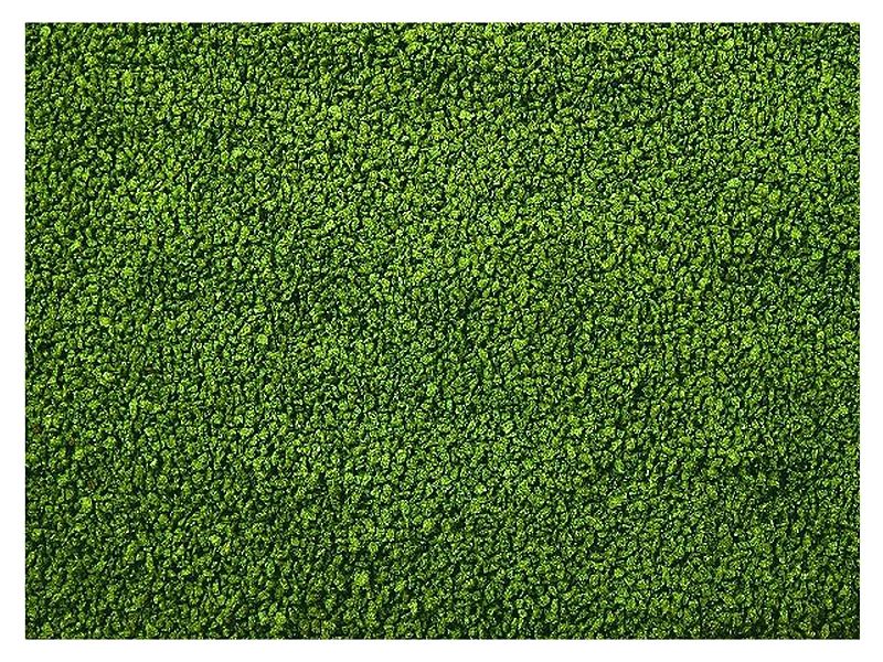 1kg GLOPEX Algen Gran granulat ze spiruliną pokarm dla ryb 1,2-1,5mm