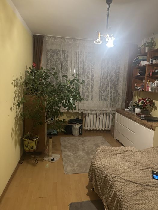 Bielsko centrum -mieszkanie 2pok