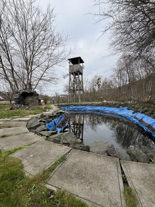 Будинок з банею та ставком