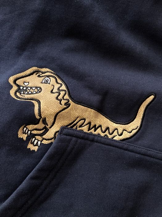 Худи Coach Rexy NEW