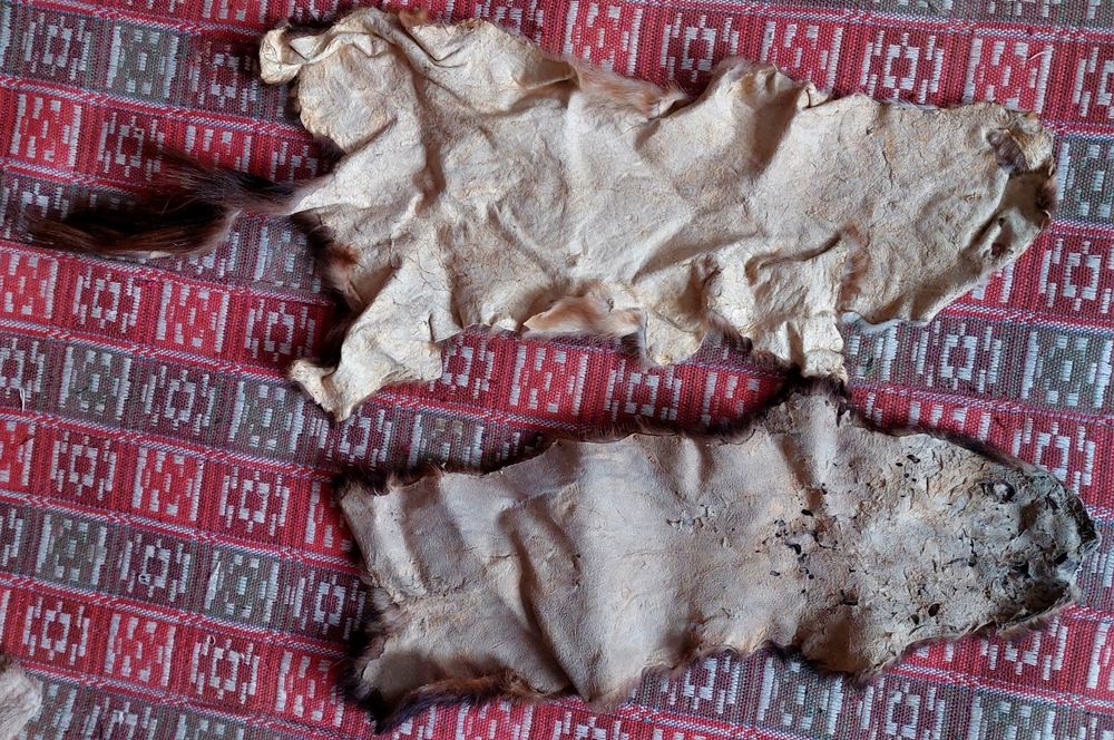 Фредка 2 шкірки ідеальні