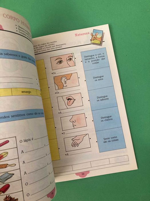 Livro Escola Primária O Bambi Meio Físico e Social 2ª Classe Porto Editora Anos 90