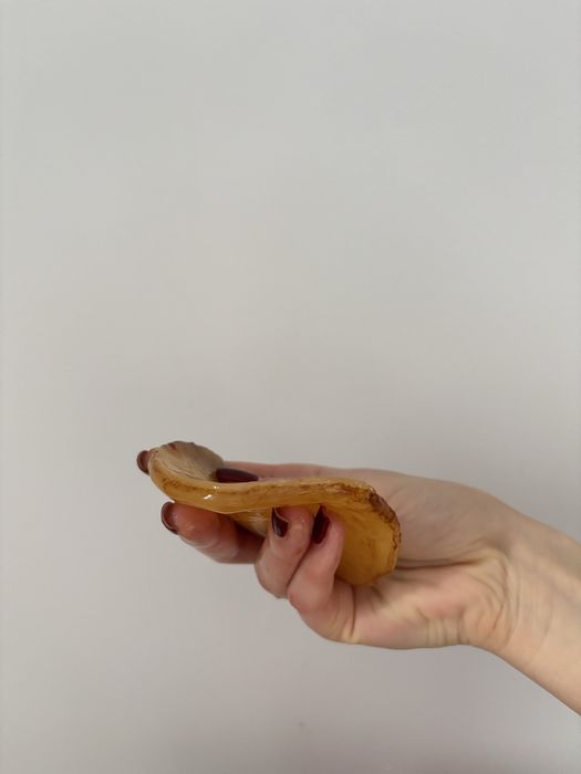 Kombucha grzyb dla p. Piotra rezerwacja