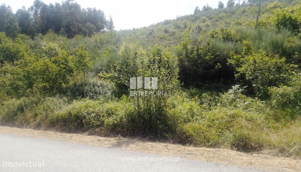 Venda Terreno, Tarouquela, Cinfães — Tarouquela, Viseu