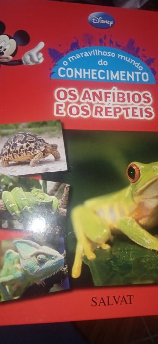 Coleção de 25 livros infantis da Disney