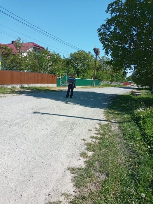 Продам будинок  в С лосяч