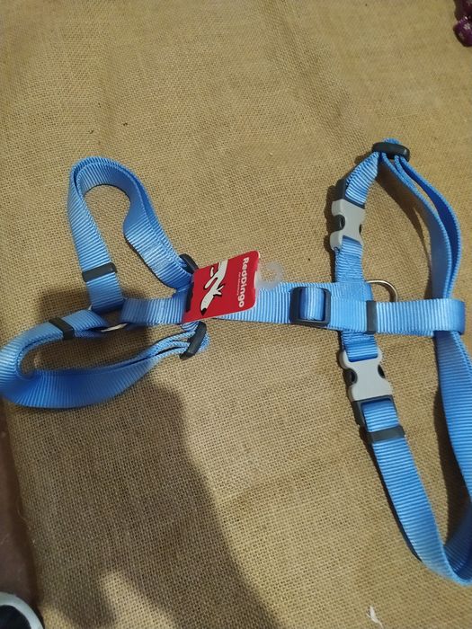 Peitoral XL RedDingo