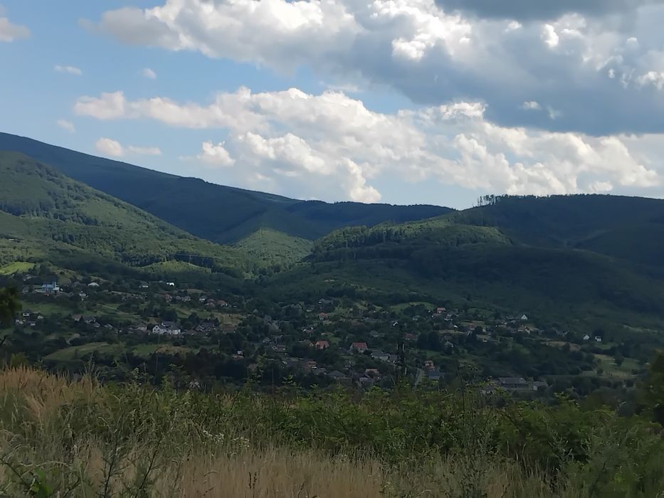 Ціну знижено! Продаю чудовий будинок садибу у Карпатах Сусково