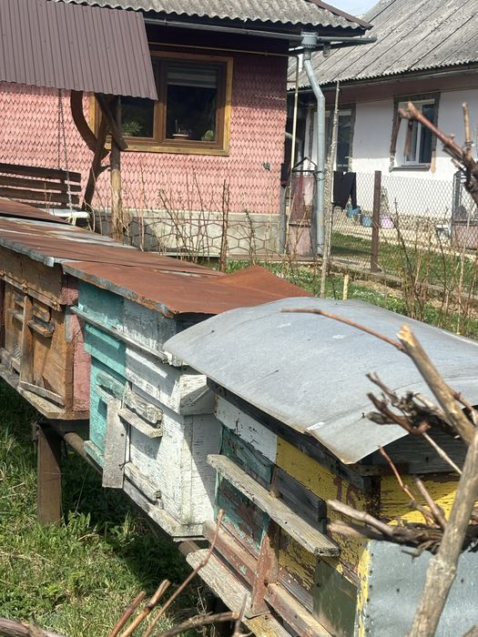 Вулики вулик для бджіл