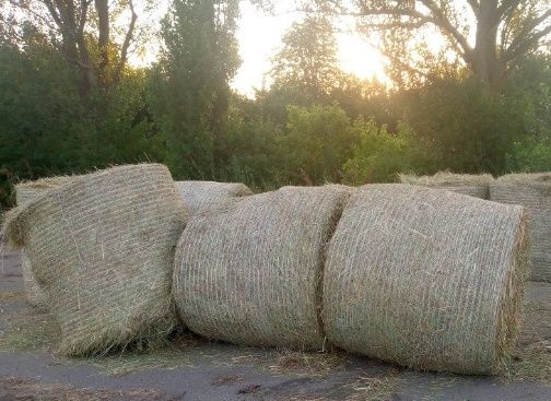 Продам сіно в тюках