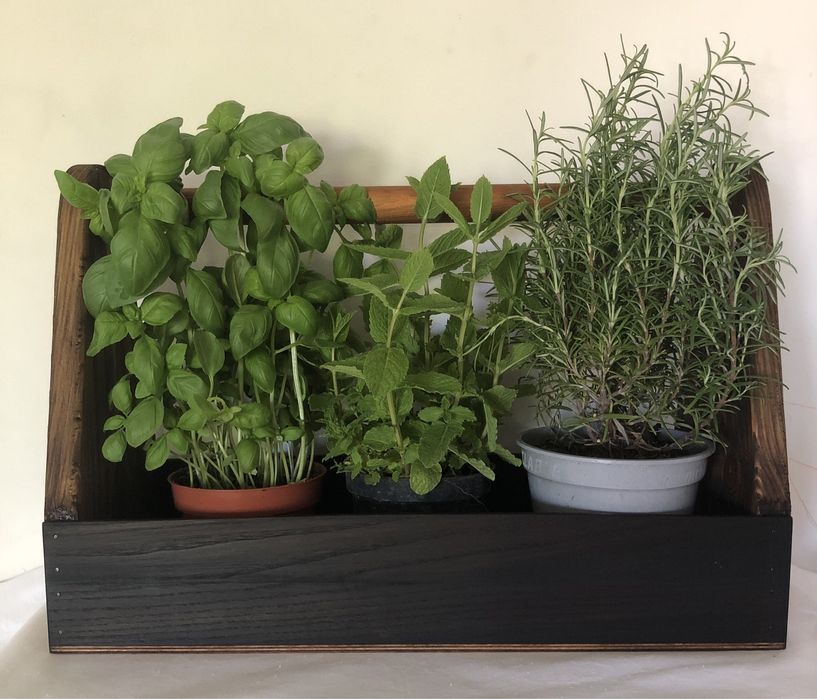 Kosz prezentowy / Zielnik / Skrzynka na narzędzia / owoce / zabawki